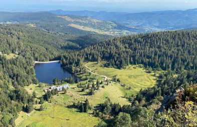 Le Nichoir - Foto 17