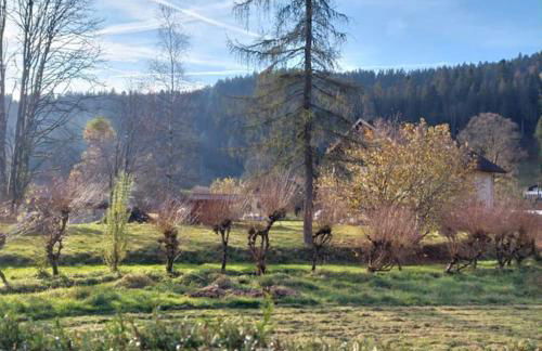 Joli appartement T2, la clairière du lac, rez de jardin, terrasse fermée, parking - Foto 12