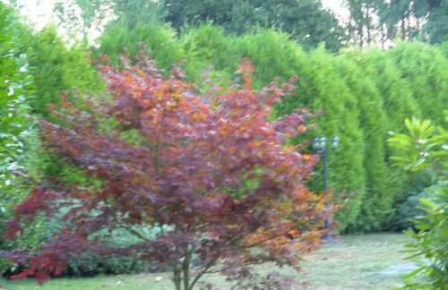 Casa de Arias - Photo 24