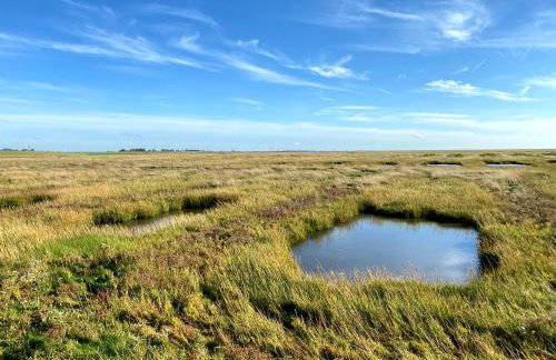 Ferienwohnungen am Wattenmeer - Foto 51