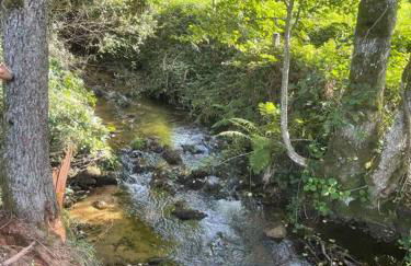 Les Murmures du Moulin - Foto 19