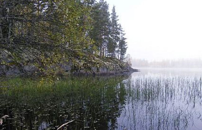 Niittylahti - Foto 13