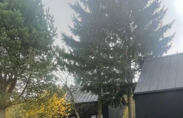 Czarna Perła - Foto 19