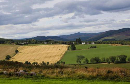 Isla Pod, Kilry eco pods - Photo 10