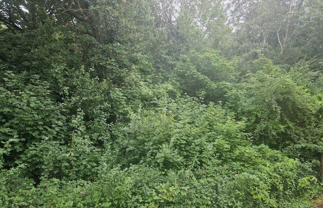 Immaculate 1-bed Apartment in Woodford Green - Foto 13