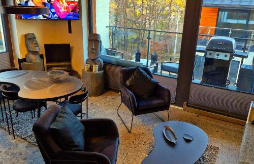 Apartamenty Spokoloko Ostoja Beskidy ARKTYKAloft i Rapa Nui - Foto 15