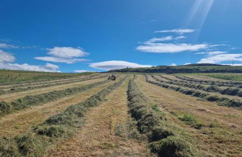 Ornum Self Catering Cottage - Foto 40