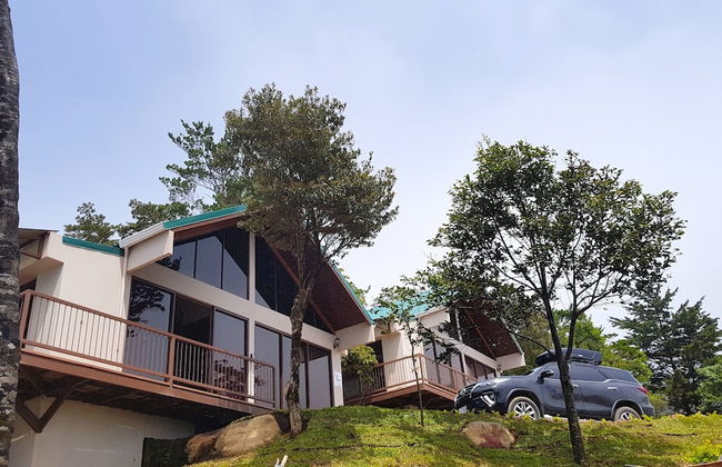 Green Forest Vacations Homes - Foto 1