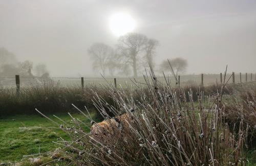 The Studio, Upper House Farm, Crickhowell. - Photo 49