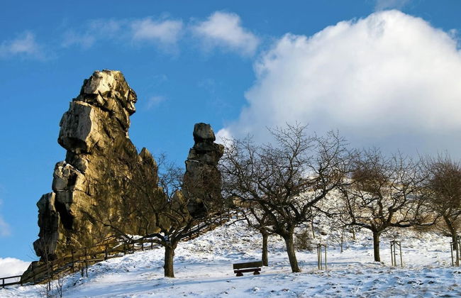 Holiday Home on the Edge of the Forest - Photo 35