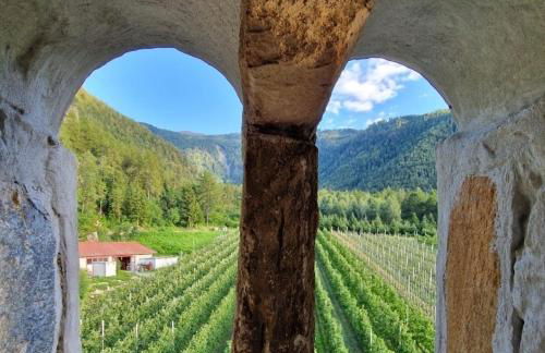 Ferienwohnungen JoJaSa - Foto 51