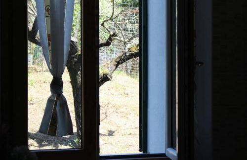 Cilento Casa Vacanza Giuvino - Foto 14