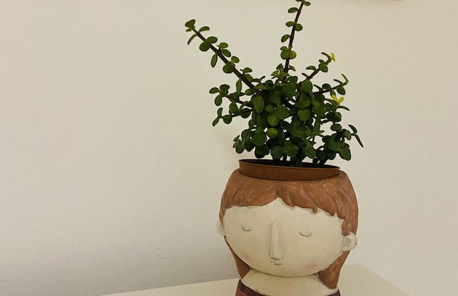 Bonaventura Holiday Home - Photo 13