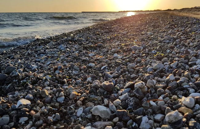 12 Person Holiday Home in Rodby - Foto 41