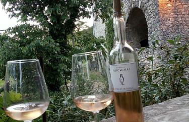 Gite des Gorges de l'Ardèche - Foto 1