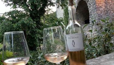 Gite des Gorges de l'Ardèche - Foto 1