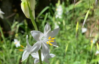 Casa Real - Photo 14