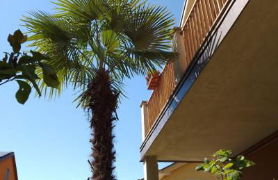 La Magnolia - Photo 11