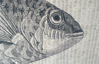 Les Petites Canailles Rooftop - Foto 35