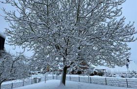 Ferienwohnung Harms - Foto 21