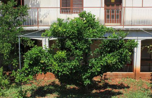 Apartments by the sea Zaglav, Dugi otok - 8146 - Foto 6