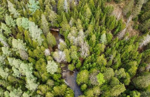 Steps to Sturgeon River! Dog-Friendly Nature Haven - Foto 27