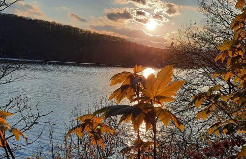 Holiday Home Mit Liebe ausgestattetes Haus im Naturpark by Interhome - Photo 18