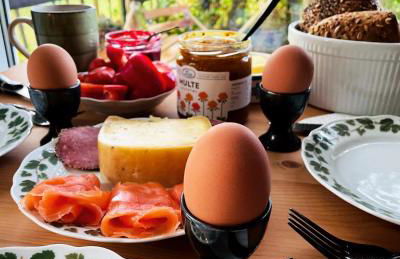 Eulennest - Tiny House im Habichtswald - Foto 21