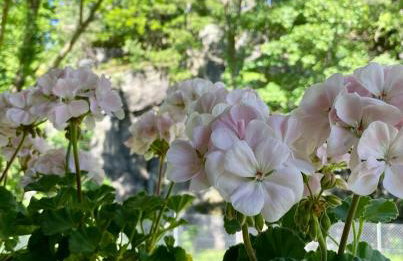 Domek przy Rozpadlisku - Foto 14