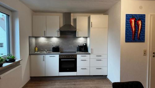 Schöne NEU Renovierte Ferienwohnung - Foto 2, stove, dishwasher