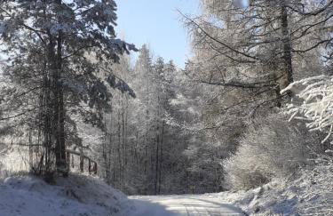 Marcinowa Zagroda - Foto 11