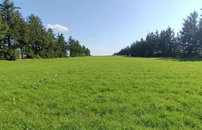 6 Person Holiday Home in Skaerbaek-by Traum - Photo 10