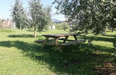 Agriturismo Fioralba - Photo 15