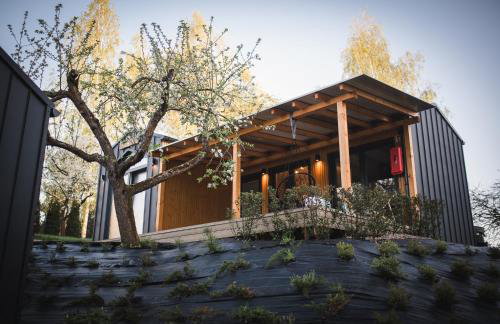 Domki pod Krakowem - Stare Sady - Photo 145