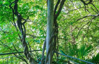 Villa Gina - Foto 51