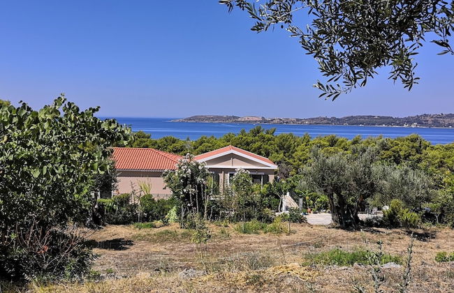 Seapine Studios - Foto 9