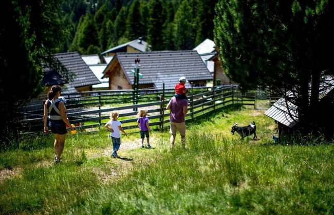 Berg- & Erlebnis-Resort MarktlAlm - Chalets & Lodges - Photo 14