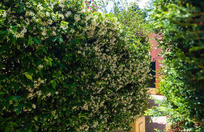 Terrazza Morgera in Napoli - Foto 61