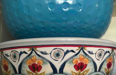 101 yr comfy Historic Home quiet private parking - Foto 31