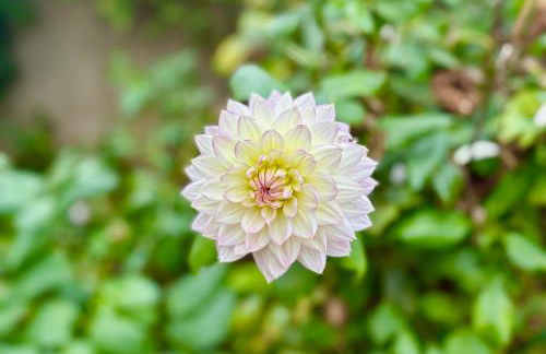 Le Mazal comfort & calm near Strasbourg - Photo 33