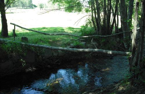 Quinta da Alma Cheia - Foto 44