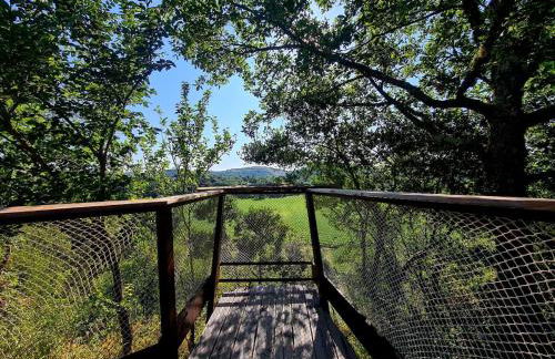 Gite du Coustal, Cajarc, Lot - Photo 47