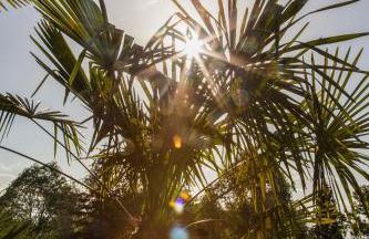 Cascina Arcangelo Raffaele - Foto 52