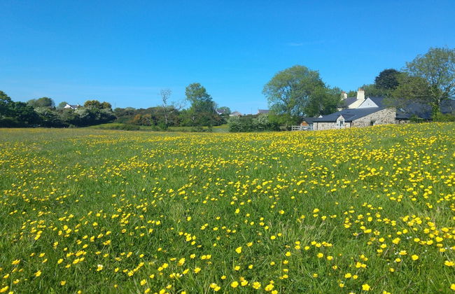 The Barn at Cae Bach - Photo 19