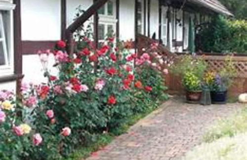 Doppelhaushalfte am Flacher See, Klocksin - Foto 27