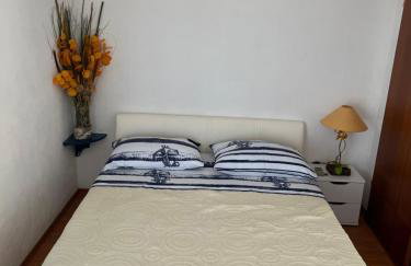 Apartments Despotović - Photo 5