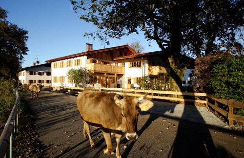 Luna Mia - Apartments - Foto 37