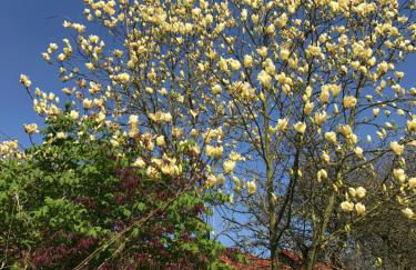 Ferienwohnungen Maedchen - Foto 76