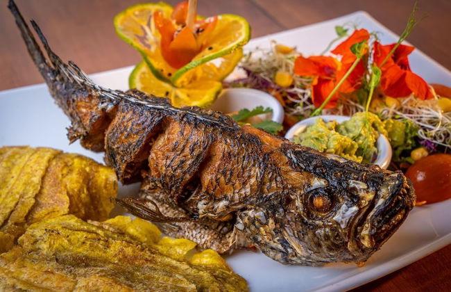 Villas Paradise - Foto 36