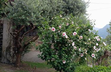 Low-mountain house with terrace and garden, near Lake Maggiore - Foto 29